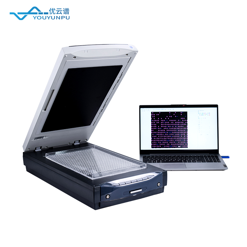 稻米品質分析儀:科學評價稻米品質的重要工具